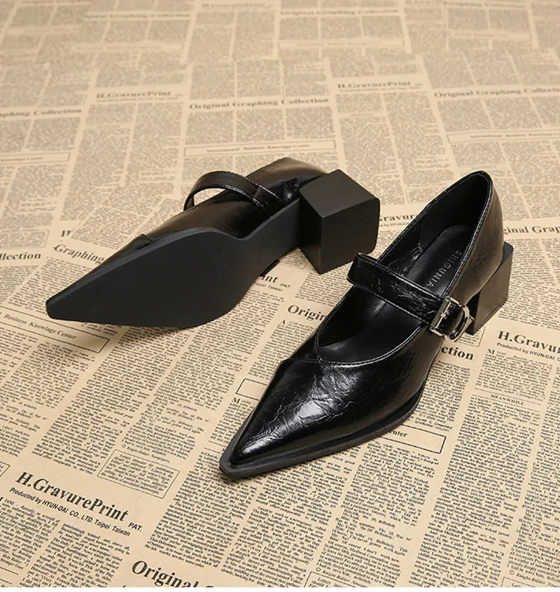 Designer Vintage Pointed Toe Women Mary Jane Shoes Fashion Shallow Buckle Shoes Spring Ladies Elegant Dress Thick Heel Shoes Blue Wolf Store
