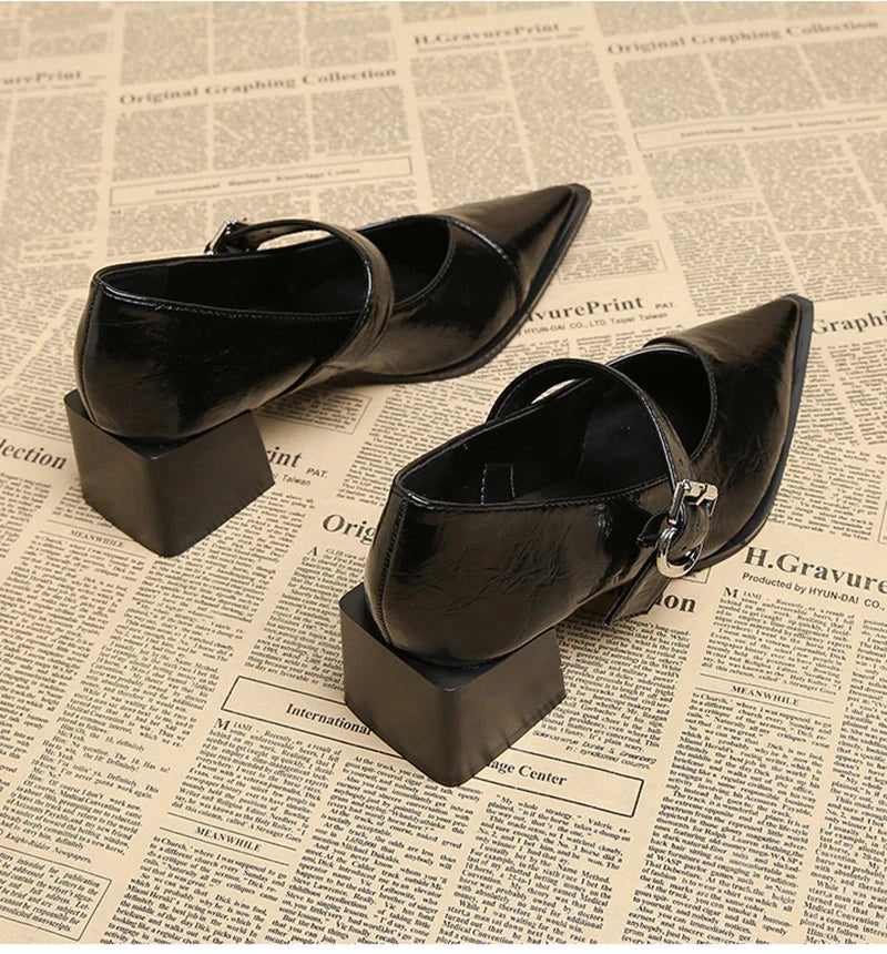 Designer Vintage Pointed Toe Women Mary Jane Shoes Fashion Shallow Buckle Shoes Spring Ladies Elegant Dress Thick Heel Shoes Blue Wolf Store