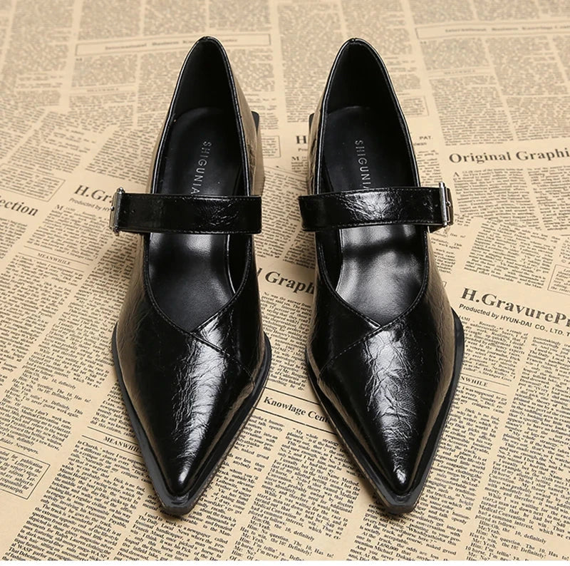 Designer Vintage Pointed Toe Women Mary Jane Shoes Fashion Shallow Buckle Shoes Spring Ladies Elegant Dress Thick Heel Shoes Blue Wolf Store