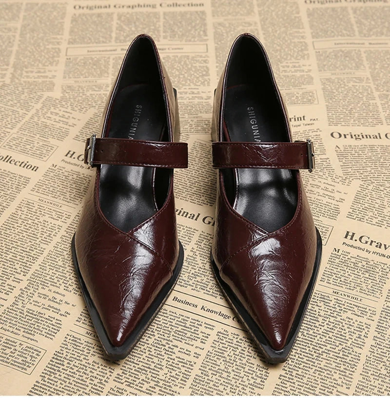 Designer Vintage Pointed Toe Women Mary Jane Shoes Fashion Shallow Buckle Shoes Spring Ladies Elegant Dress Thick Heel Shoes Blue Wolf Store