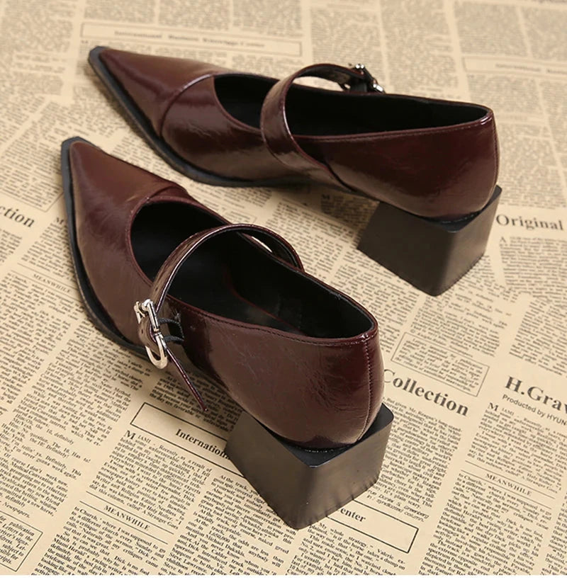 Designer Vintage Pointed Toe Women Mary Jane Shoes Fashion Shallow Buckle Shoes Spring Ladies Elegant Dress Thick Heel Shoes Blue Wolf Store