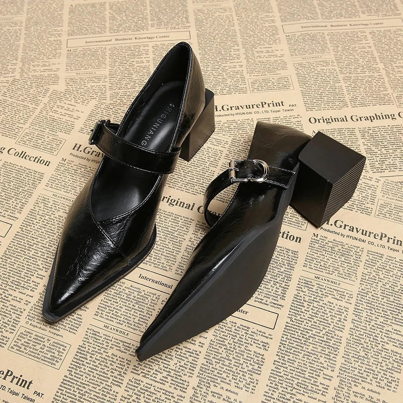 Designer Vintage Pointed Toe Women Mary Jane Shoes Fashion Shallow Buckle Shoes Spring Ladies Elegant Dress Thick Heel Shoes Blue Wolf Store black 42