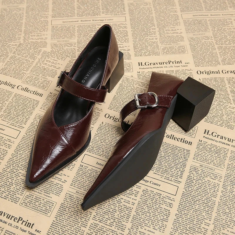 Designer Vintage Pointed Toe Women Mary Jane Shoes Fashion Shallow Buckle Shoes Spring Ladies Elegant Dress Thick Heel Shoes Blue Wolf Store Red 42