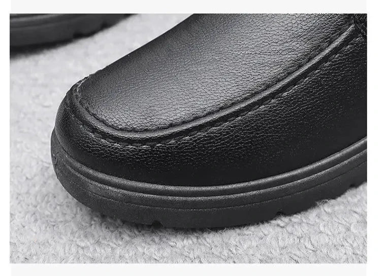 Men's Plush-Lined Leather Shoes Men's Plush-Lined Leather Shoes Blue Wolf Store