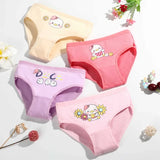 Pack - 02