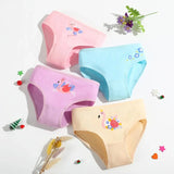 Pack - 05