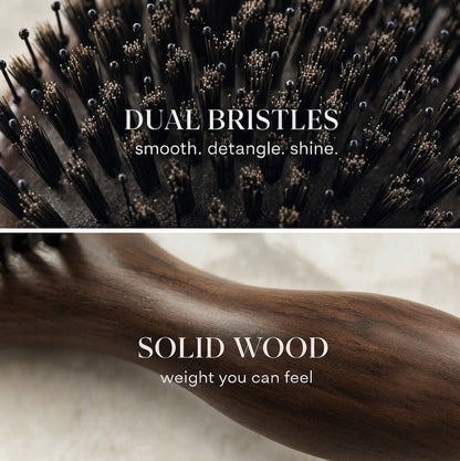 Detangling Hair Brush with Massage Cushion for Wet & Dry Hair - VelluTouch Detangling Hair Brush with Massage Cushion for Wet & Dry Hair - VelluTouch Blue Wolf Store 