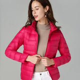Rose Red